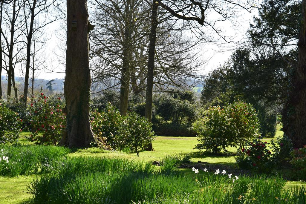 Llansabbath Country House B&B Abergavenny Exterior photo