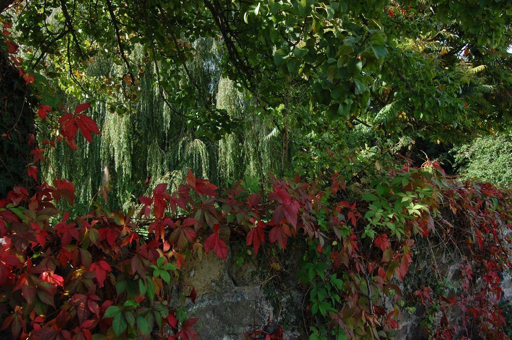 Llansabbath Country House B&B Abergavenny Exterior photo